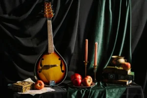 Difference Between Mandolin and Bouzouki