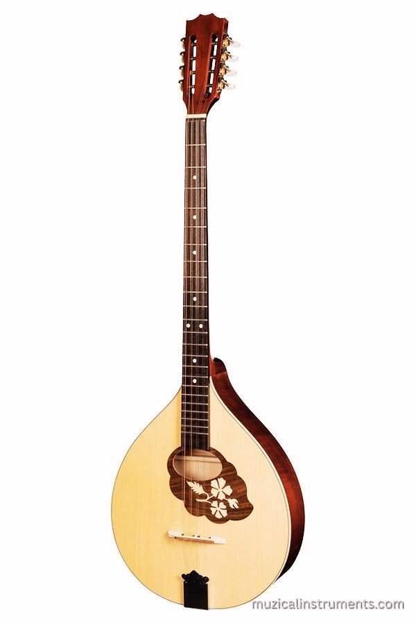 Irish Bouzouki