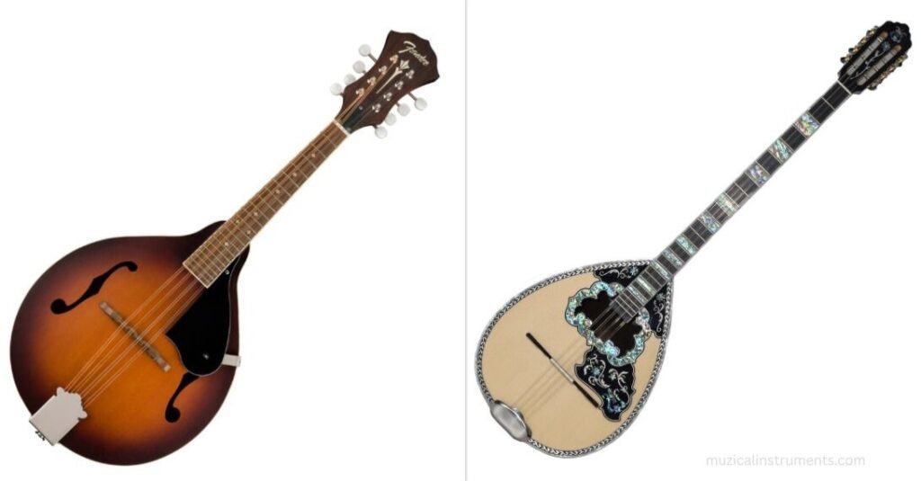 Difference between Mandolin and Bouzouki