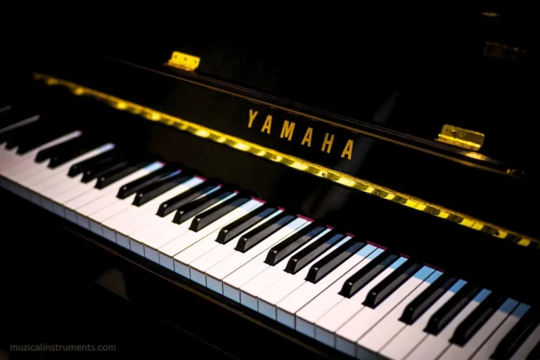 Things You Must Know Before Buying a Piano Keyboard