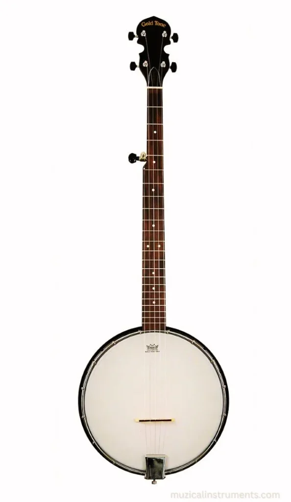 Travel Banjo Gold Tone AC-1