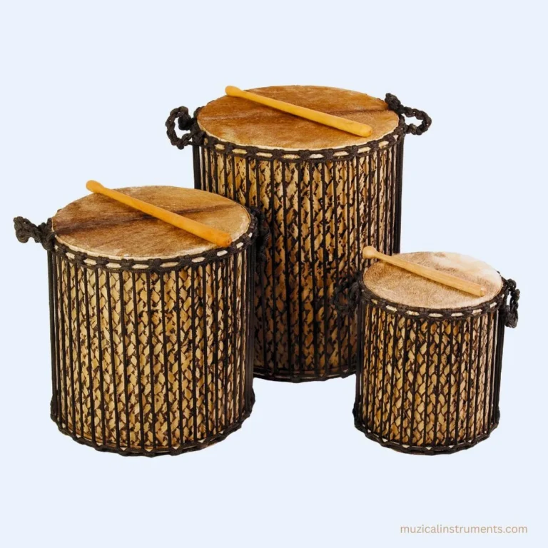 What Is a Dunun Drum