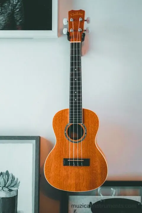 Concert Ukulele in Soprano vs Concert Ukulele Key Differences