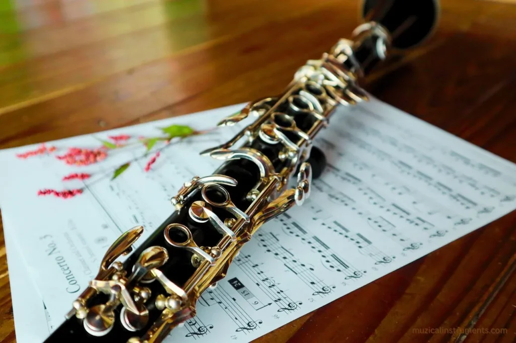 German vs French Clarinet Which One Should You Choose