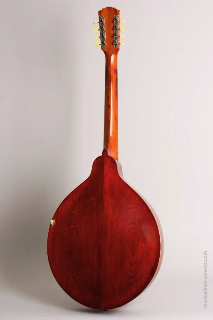 Mandocello Back, What Is a Mandocello Made Of
