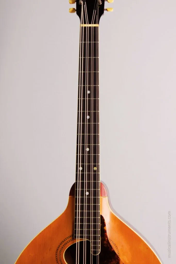 Mandocello Fretboard