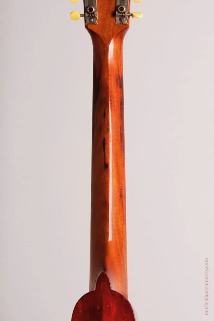 Mandocello Neck
