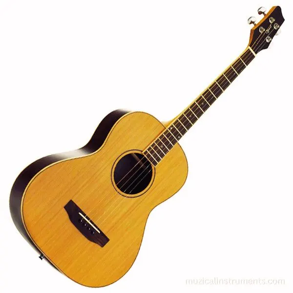 Tenor Guitar, Tenor Guitar vs Baritone Ukulele