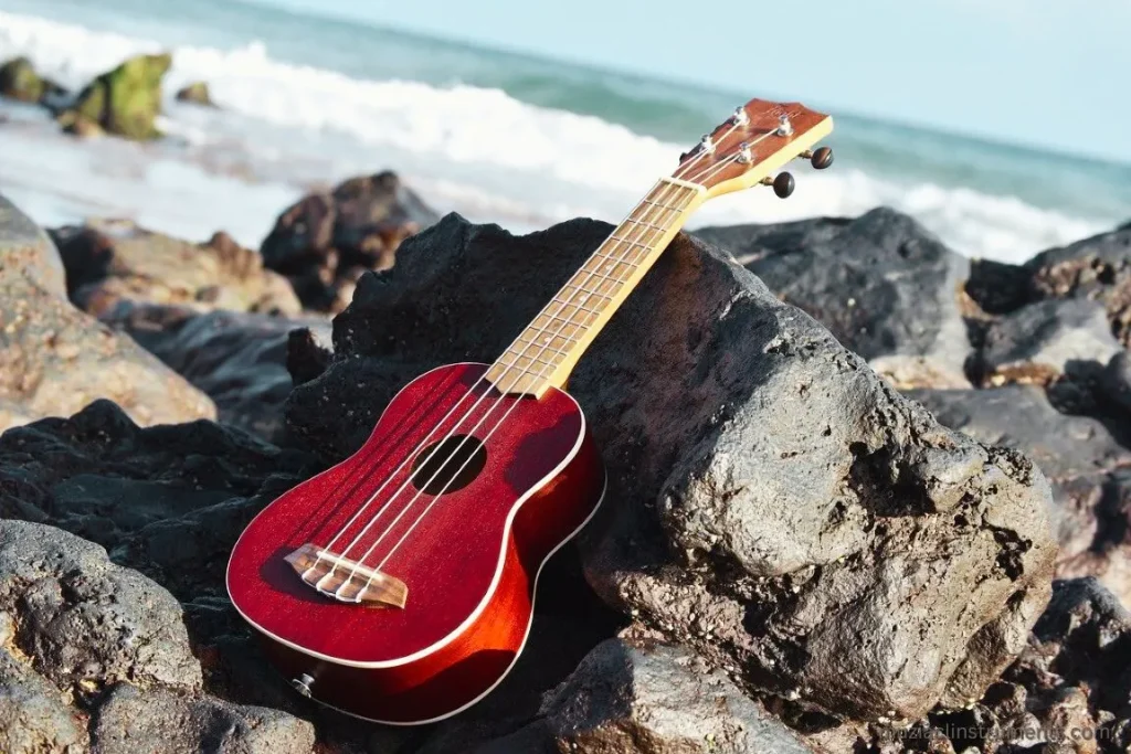 Which One in soprano vs concert ukulele is Best for You