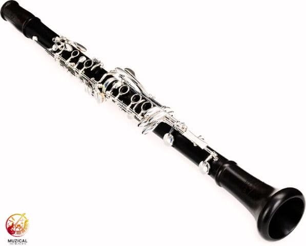 Backun Protege Clarinet