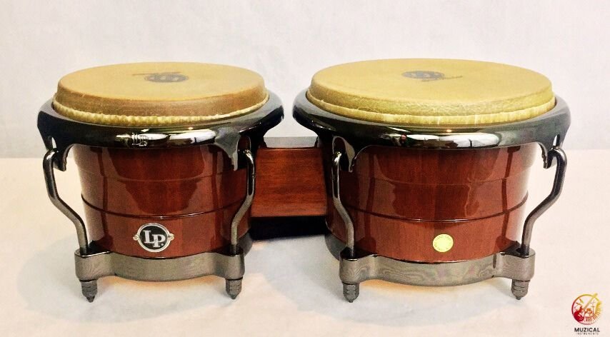 Bongo