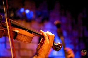 Brass vs Rubber Violin Mute Which One is Better for Practice