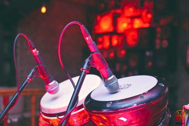 Bongo