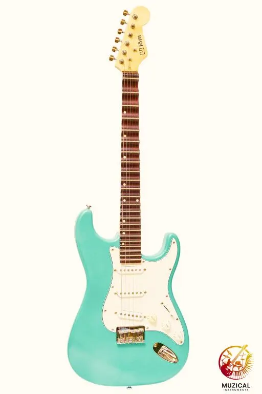 Electric Vietnamese Guitar