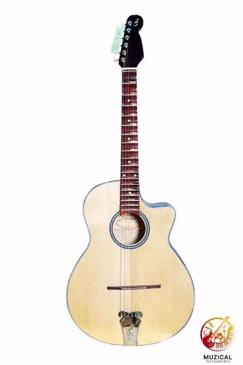 Vietnamese Guitar