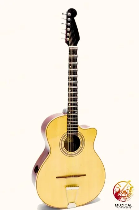 Vietnamese Guitar