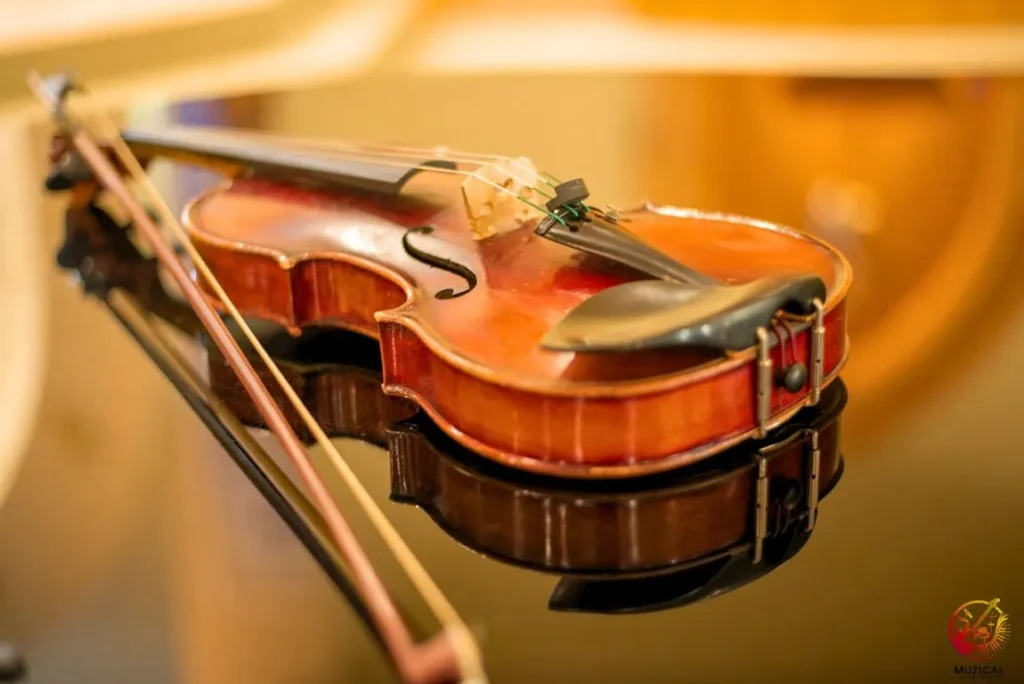 Violin & Bow