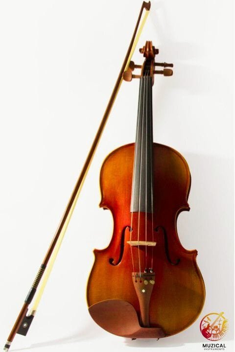 Violin