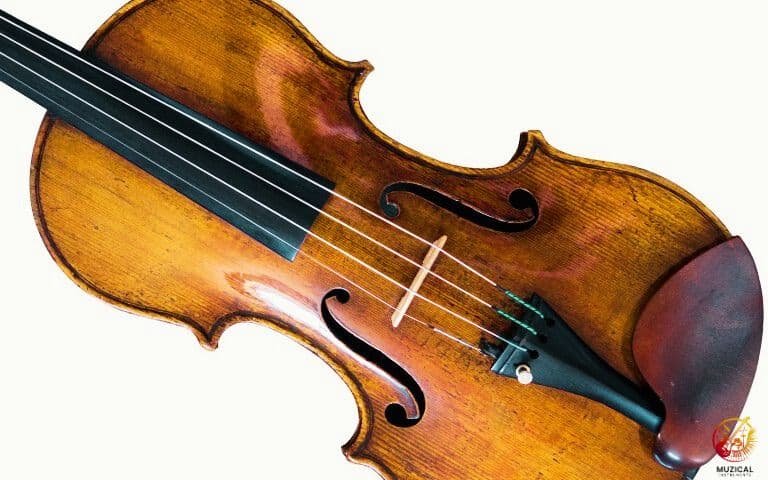 What Makes a Stradivarius Violin So Special