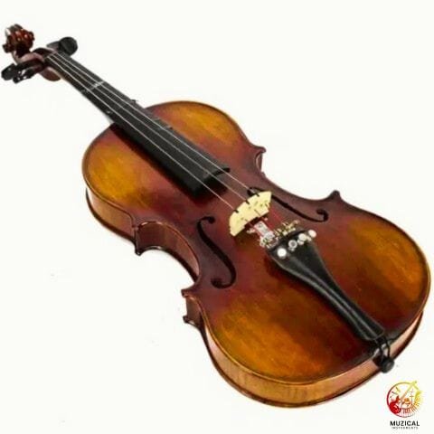 Carlo Robelli Violin