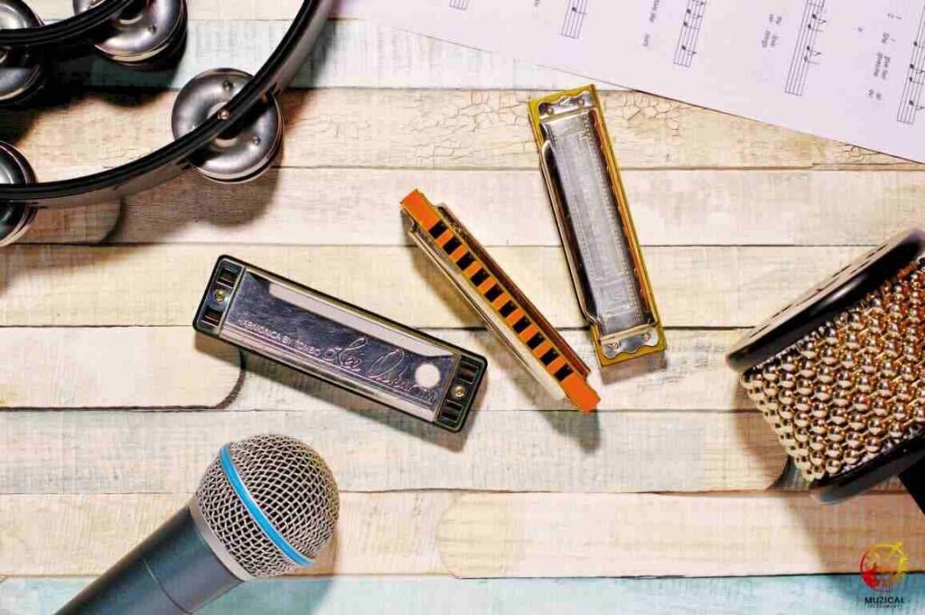 Do New Harmonica Reeds Really Need
