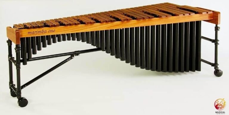 How Many Bars a Xylophone Has? A Simple Guide for Curious Musicians