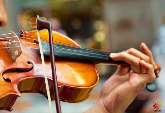 Playing with Violin bow