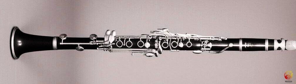 Quarter Tone Clarinet 1