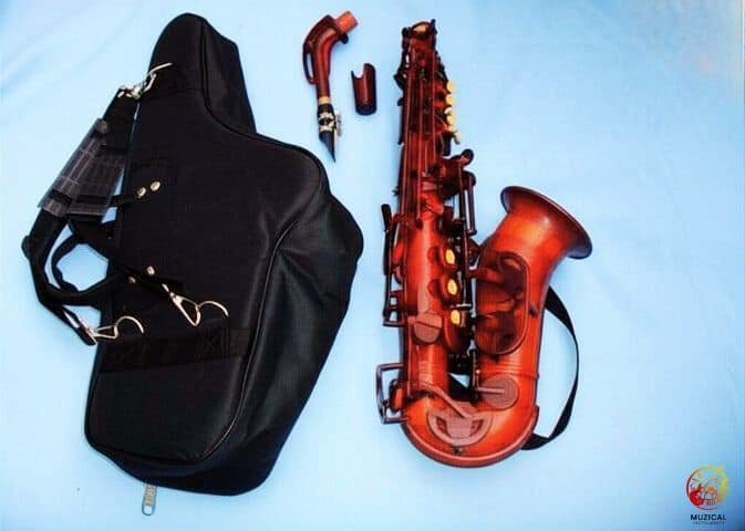 Sawat Saxophone_Alto_Case