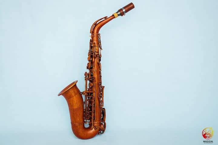 Sawat Saxophone_Alto_left