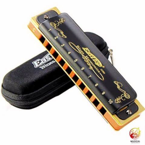 Square Holes Harmonica