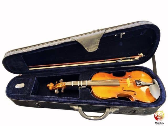 Vintage Carlo Robelli Violin-1