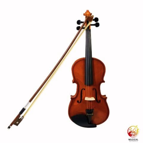 Violin Bow