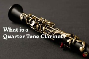 What is a Quarter Tone Clarinet