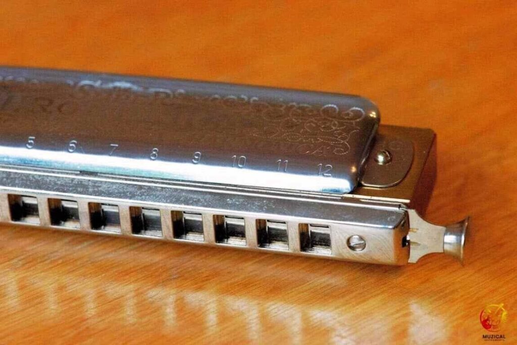 What's Actually Happening to a New Reed