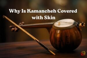 Why Is Kamancheh Covered with Skin