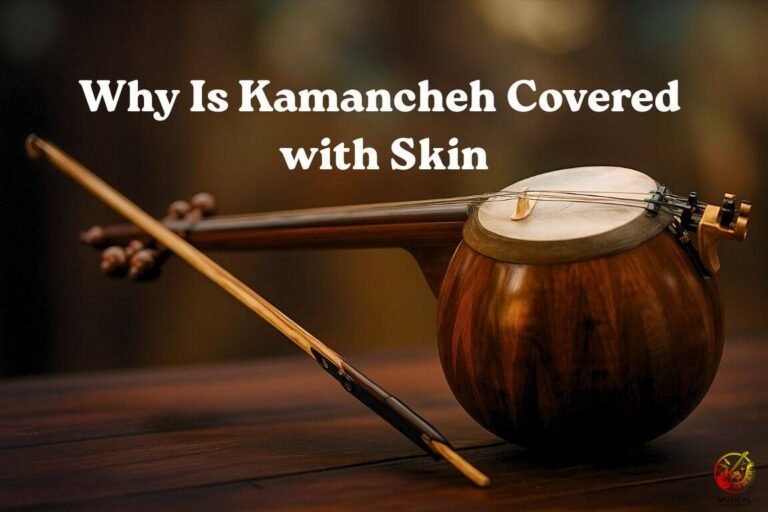 Why Is Kamancheh Covered with Skin