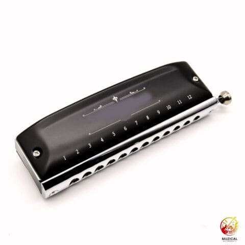 Chromatic Harmonica