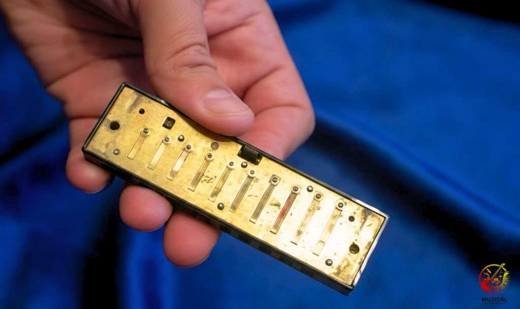 Clear Blocked Harmonica Reeds