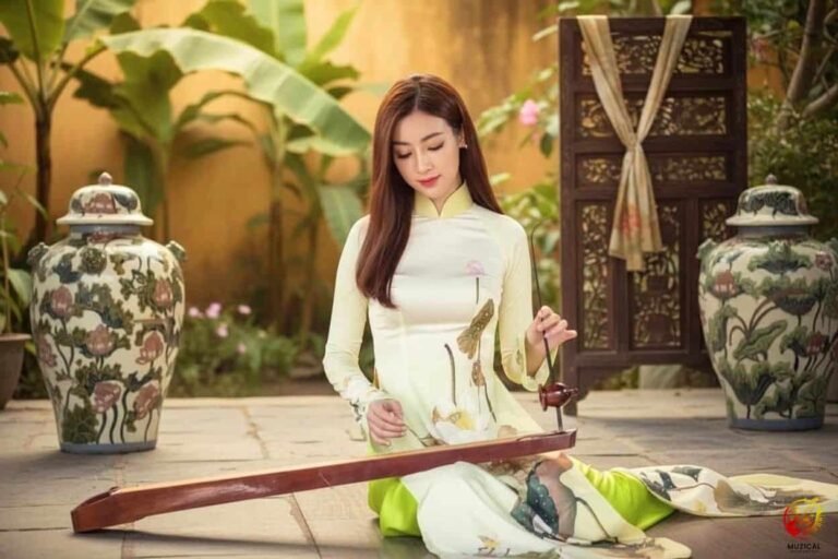 Dan Instrument What is a Dan Bau? Your Guide to Vietnam’s Magical Single String Instrument