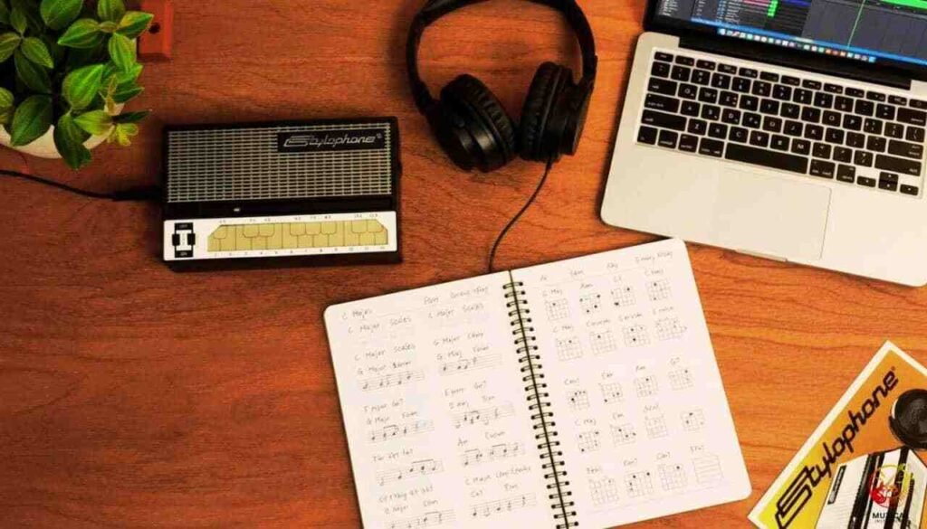 Stylophone Help in Learning Music Theory