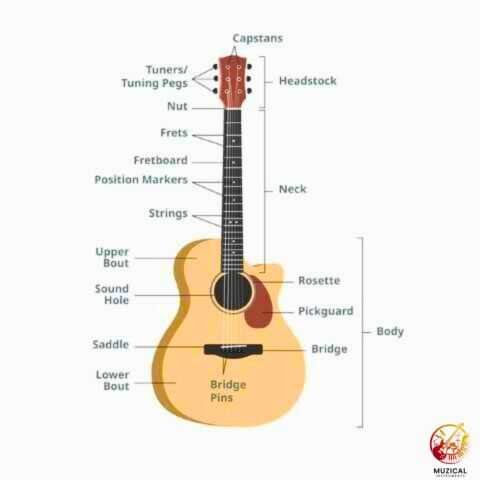Acoustic Guitar