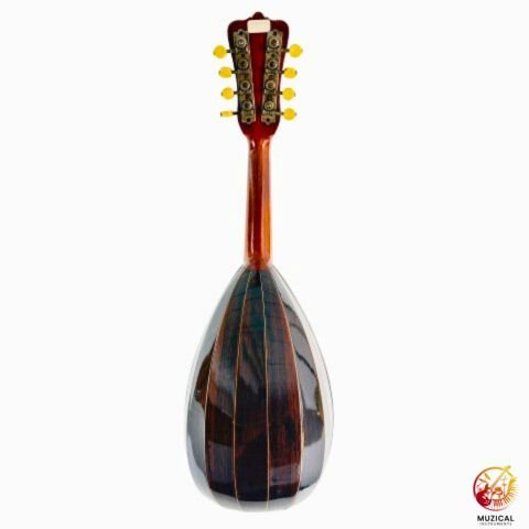 Bowl-Back Mandolins_back
