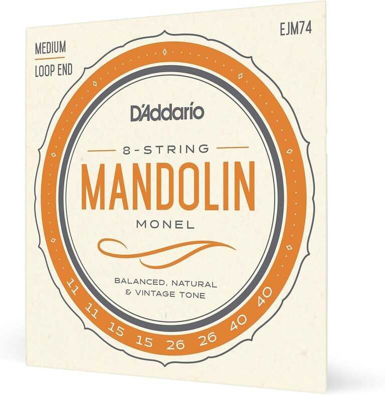D'Addario Monel