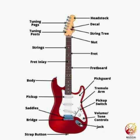Electric Guitar