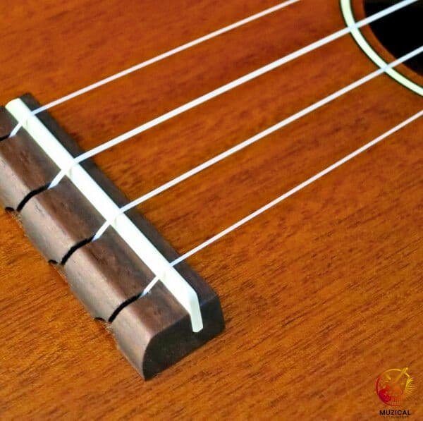 Fluorocarbon Ukulele Strings