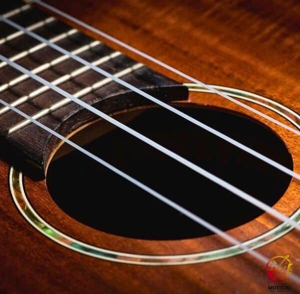 Nylon Ukulele Strings