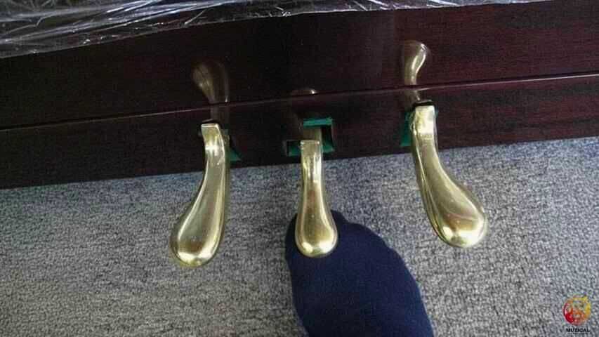 Built-in Practice Pedals