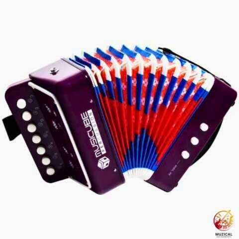 Button Accordion