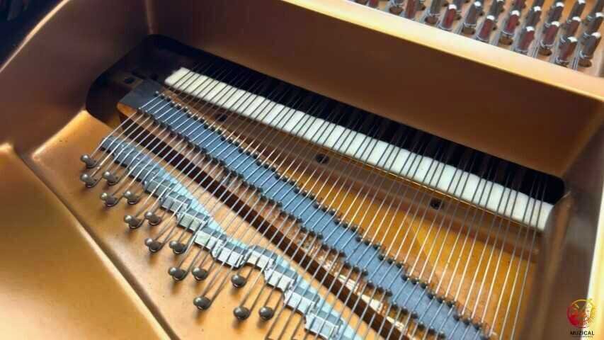 Grand Piano Muffer